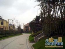 房东自住装修,保养的很好,品质很高