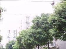 低楼层,小区中间位置,停车方便,税费少,看房提前约