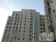 银鹿大厦 3室1厅 南 东南