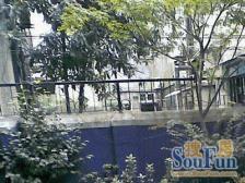 新出!双南两房!笋盘!凤凰楼层,价位可谈!