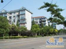 西边套暖阳阳 环形式大阳台 电梯房 闹中取静 单价低