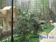 普陀区双南大两房,带南北露台,采光嘎嘎好,看房方便