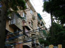 龙阳路CBD五轨交汇非顶全明户型