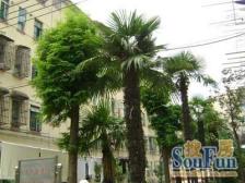 长寿路 满五 近医院 装修好 电梯房交通便利 正南朝向