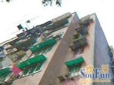 多层复式 南北通透2室1厅 采光好 内环边