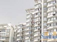 房东诚心出售 中上楼层电梯房 视野无遮挡 户型方正