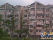 电梯中楼层 房子满五年税少 户型正气,视野无遮挡