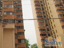 振新大厦 3室1厅 南 北