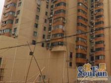 无增值税 全明户型 10号四平路 三代人同住 双卫生间