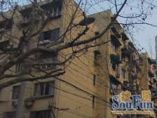 欧九小区 1室0厅 东