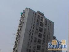 近11/14号线+电梯高区+户型正气+采光充足+视野开阔