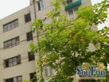 店长主推 中间楼层 三房 南北全明 诚意出售