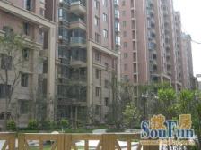 北新泾DT口旁 改善的看 大3室