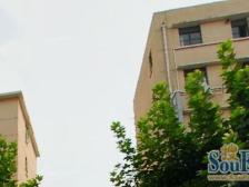 彭浦·平顺路825弄·2室·1厅