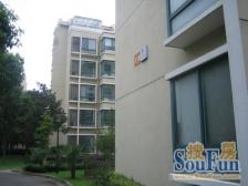 新馨花园 2室2厅 南 北