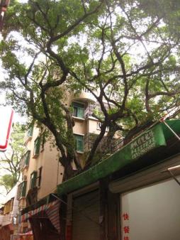 24区宝民花园两房一厅空房出租 看房预约 租客5月底到期