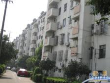 南园南路·翠园新村·三室一厅·平直振华·中间楼层·看房方便