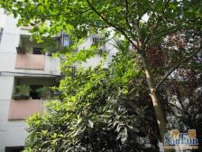 振华 平直/南环 独立自行车库 小区环境好 光线充足