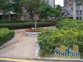 鹏程蕙园写字楼实景图
