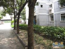 东环新村南北通透两房,平江背包,有钥匙随时看房