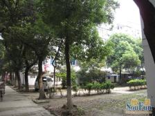 南门·新南环新村一组团·2室·1厅