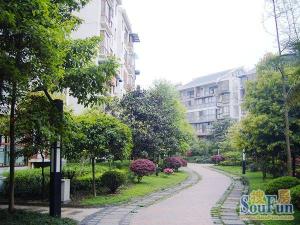 金沙古韵4室2厅东南