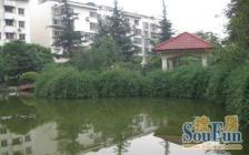 锦城苑(金牛) 5室3厅 南 北