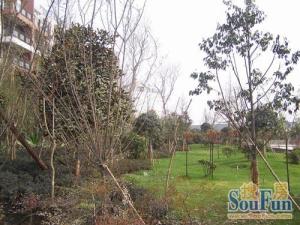 泊景湾2室2厅南