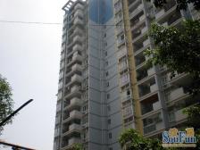 朵力欣元B区 1室1厅 南