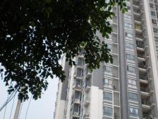 建设村 朵力欣元B区一房