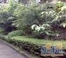 城北小区实景图