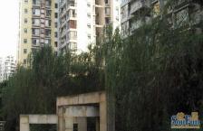 罗浮世家一期4室2厅西