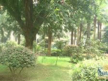 朝小区中庭安静,户型好,采光好,业主诚心出售