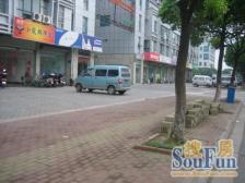 丽都国际 多层复试 装修保养好 房东诚心出售 看房方便