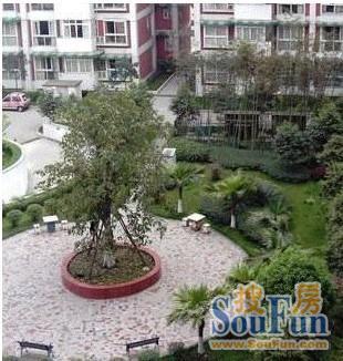 小区相关图