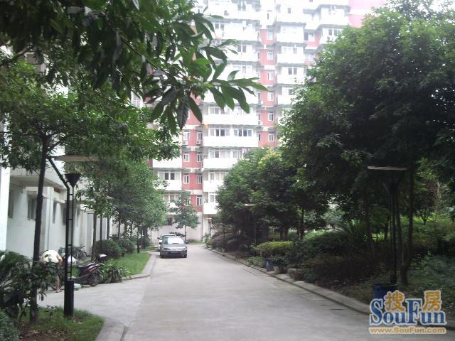 小区相关图