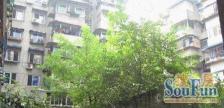 红运花园佳苑3室1厅东南西南