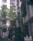 二楼楼梯房,商圈中心