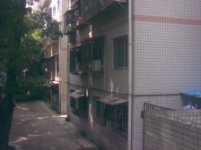 林荫村 4室2厅 东南