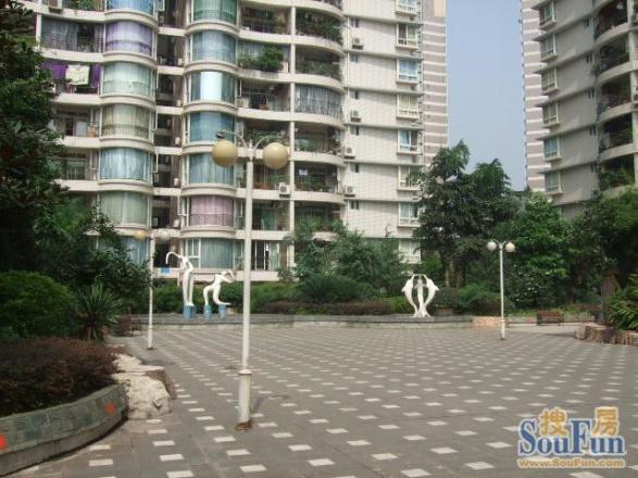 映江花园实景图