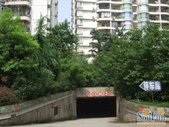 映江花园实景图