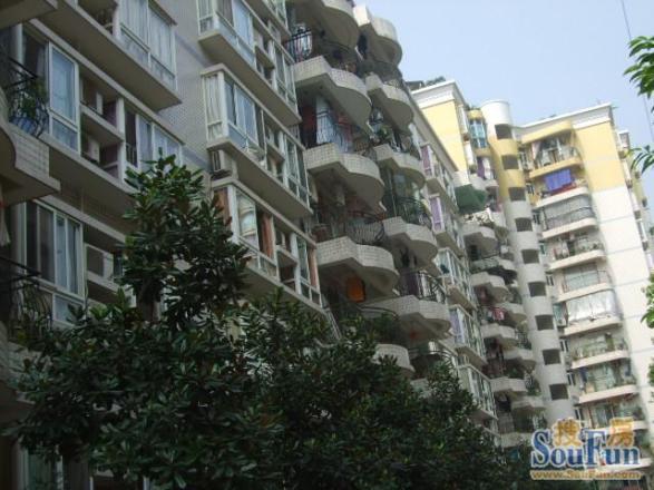 映江花园实景图