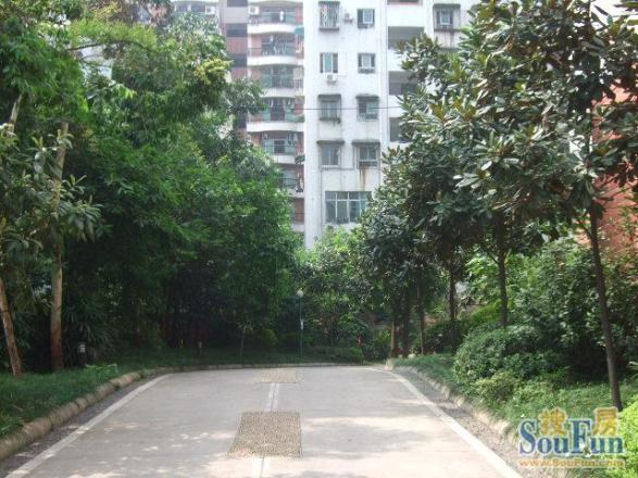 映江花园实景图