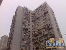 华山路武康路 南北通全明 俯瞰丁香别墅