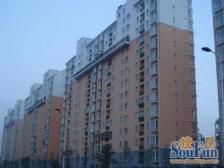 杨思前滩08年3房性价币及高小区