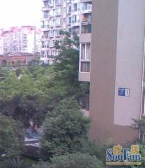 双楠风景二期3室2厅东南