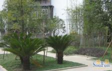 红运花园馨苑 3室1厅 东南 西北