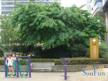 中华路+出行方便+业主安心出售 看房方便