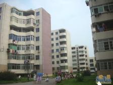 京东小区C区 南北通透,采光好 装修好,环镜优美 近地铁 周边匹套完善,,出行方便