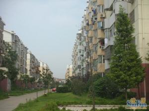 京东小区G区 南北通透,采光好 视野好,诚心出售